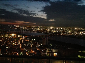 View from Umeda Sky Garden